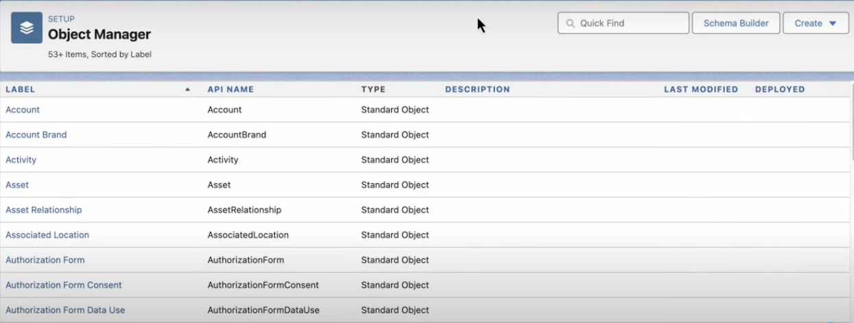 Salesforce example creating customized fields through Einstein Copilot