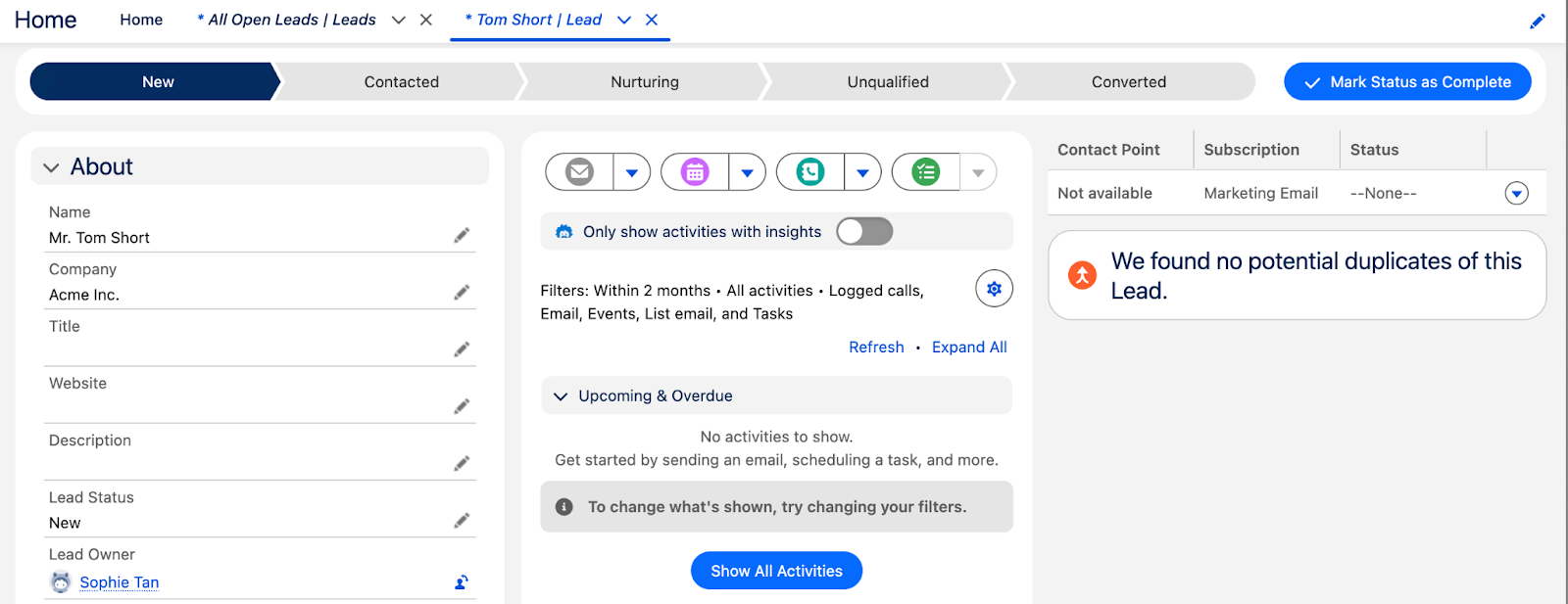 Leads tab stages on Salesforce